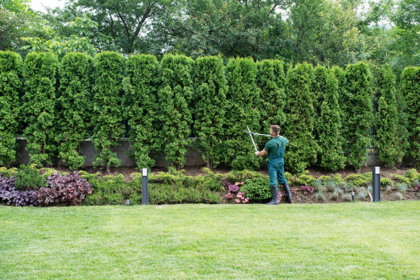 Artificial Turf Installation in Eden Isle, LA